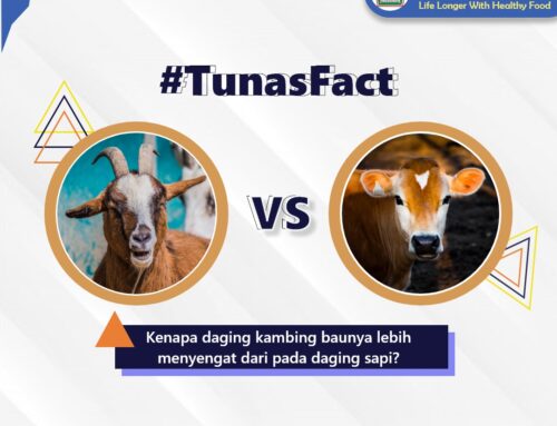 Kenapa daging kambing baunya lebih menyengat daripada daging sapi?